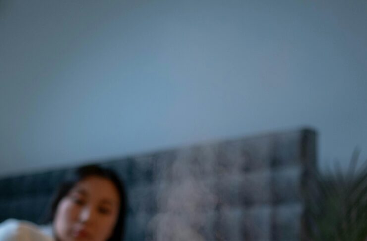 Smart home appliances compatible with Alexa Google Assistant and Apple HomeKit in a modern smart home setup